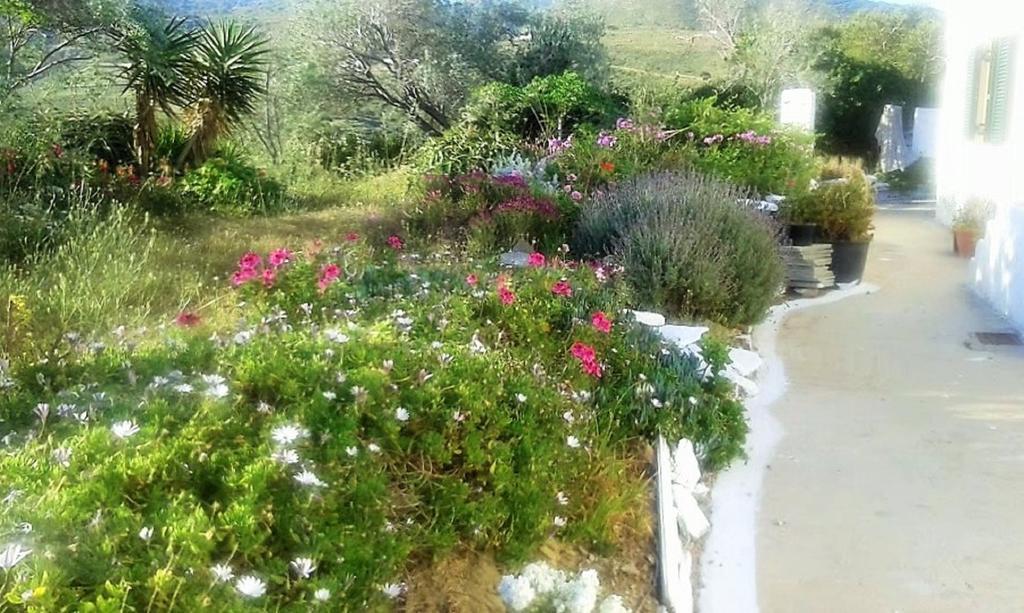 Avgoustis' Stone House Villa Otziás Eksteriør bilde