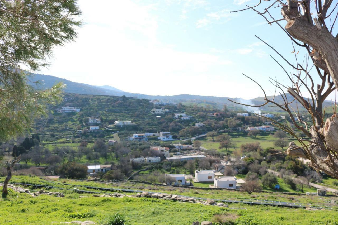 Avgoustis' Stone House Villa Otziás Eksteriør bilde